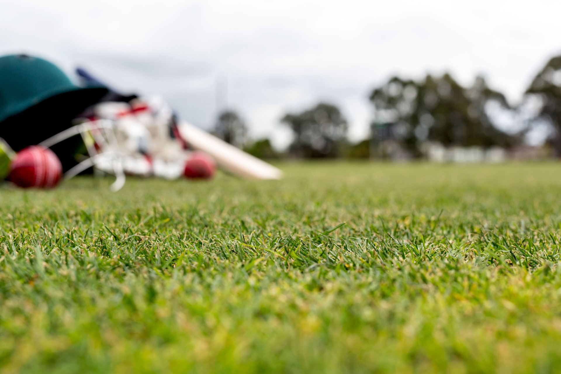 Cricket Equipment